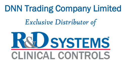 Công Ty TNHH Thương Mại DNN